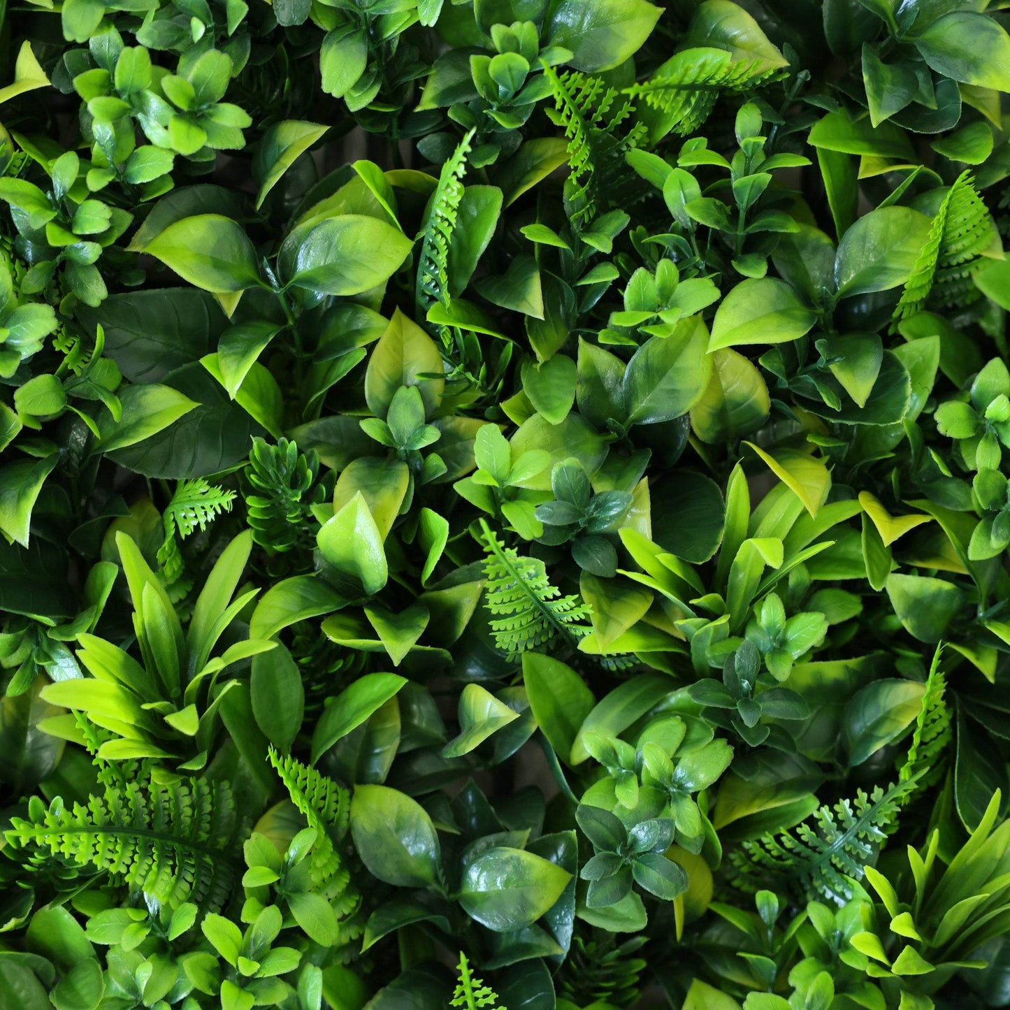 Premium Artificial Green Wall Panel 50 x 50cm - Green Fern - Evergreenery