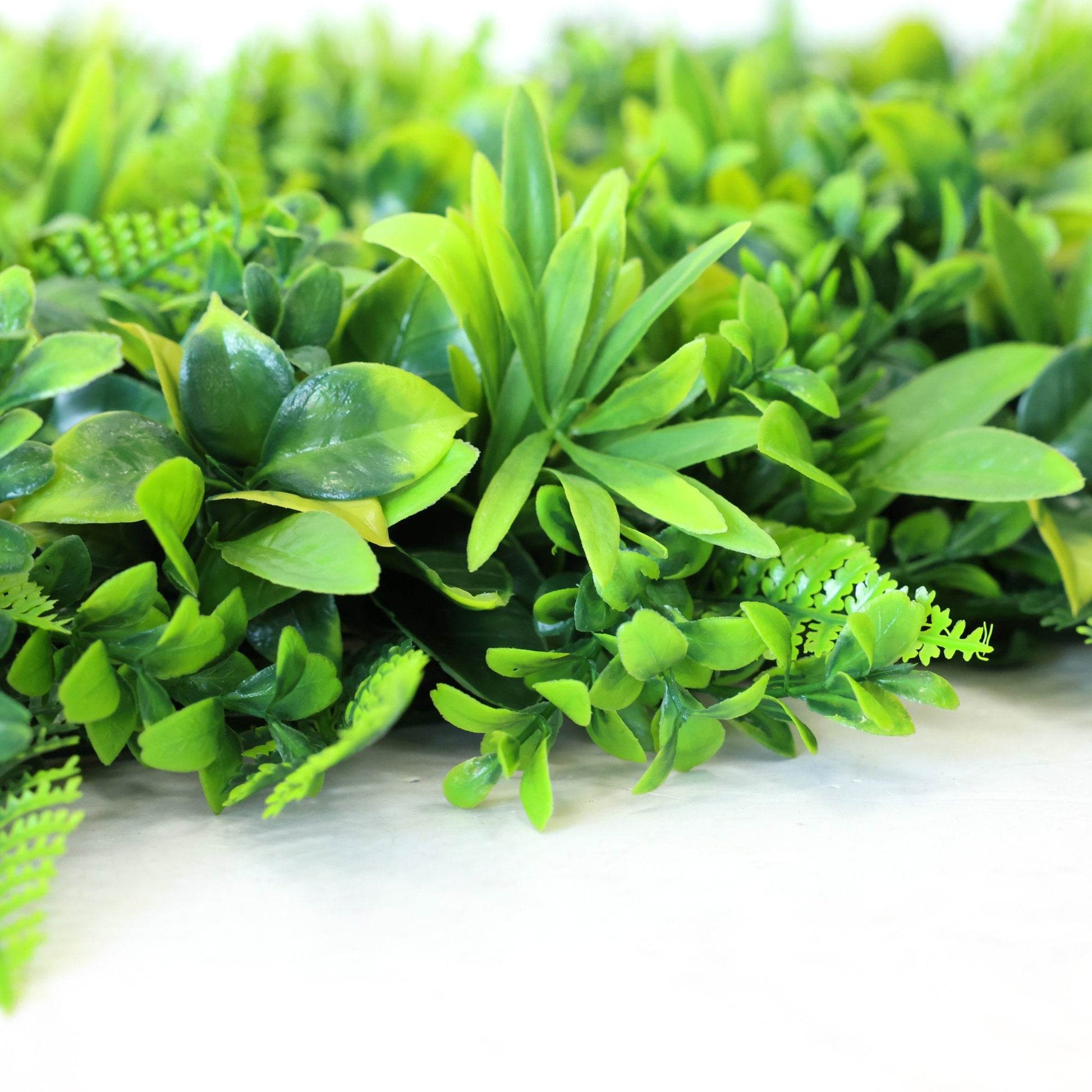 Premium Artificial Green Wall Panel 50 x 50cm - Green Fern - Evergreenery