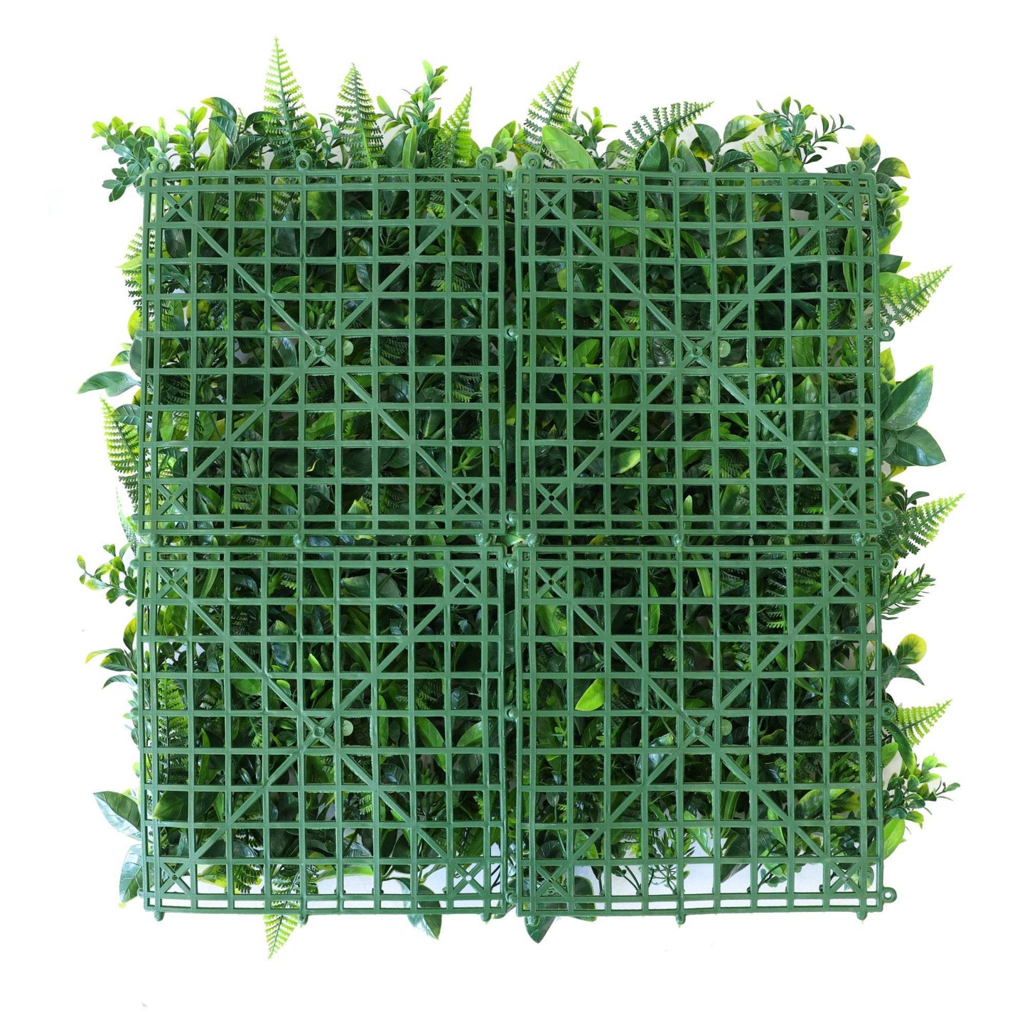 Premium Artificial Green Wall Panel 50 x 50cm - Green Fern - Evergreenery
