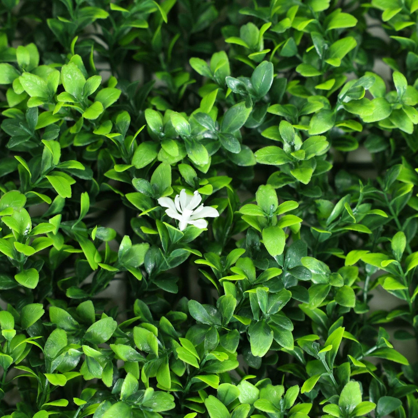 Premium Artificial Green Wall Panel 50 x 50cm - White Flower - Evergreenery