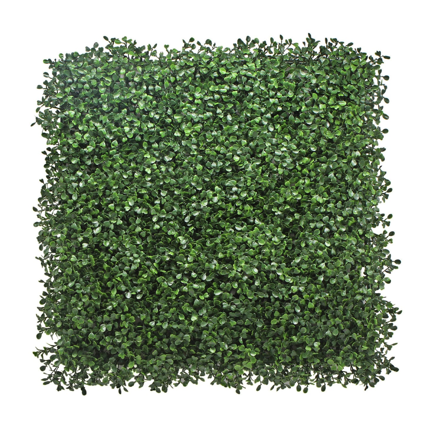 Boxwood Artificial Living Wall Hedge Mat Green 50cm x 50cm - Evergreenery