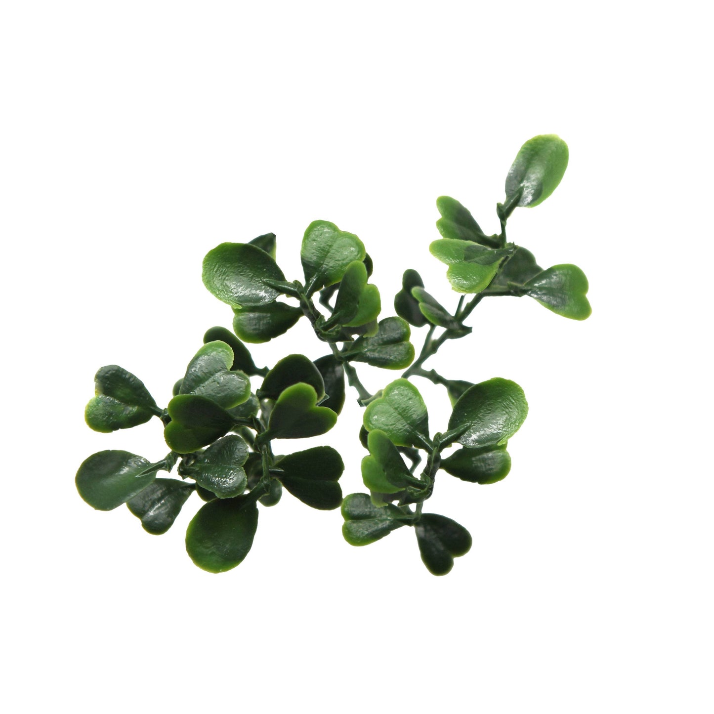 Boxwood Artificial Living Wall Hedge Mat Green 50cm x 50cm - Evergreenery