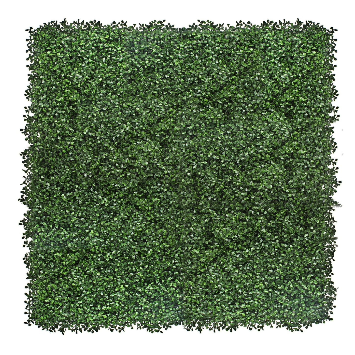 Boxwood Artificial Living Wall Hedge Mat Green 1m x 1m - Evergreenery