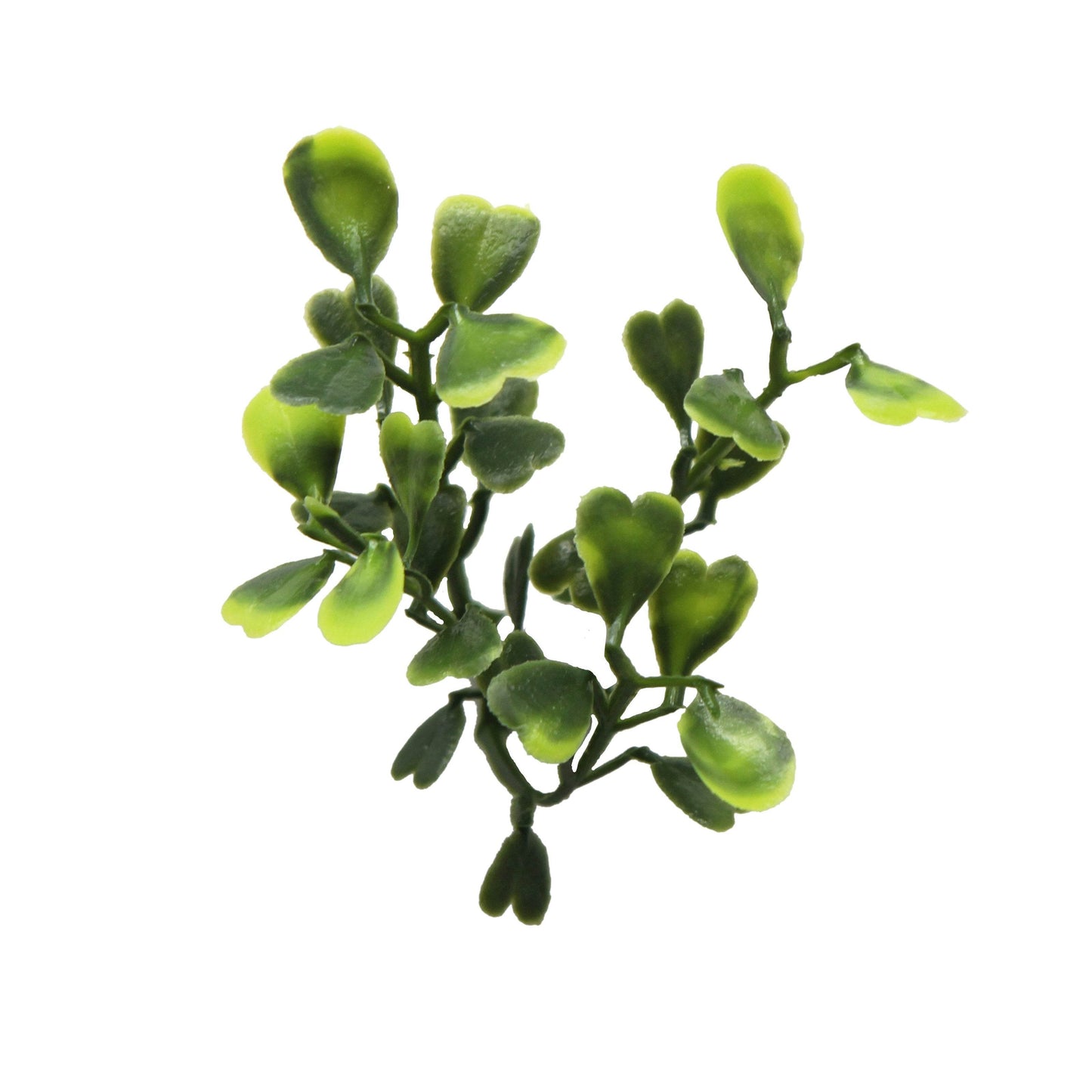 Boxwood Artificial Living Wall Hedge Mat Light Green 50cm x 50cm - Evergreenery
