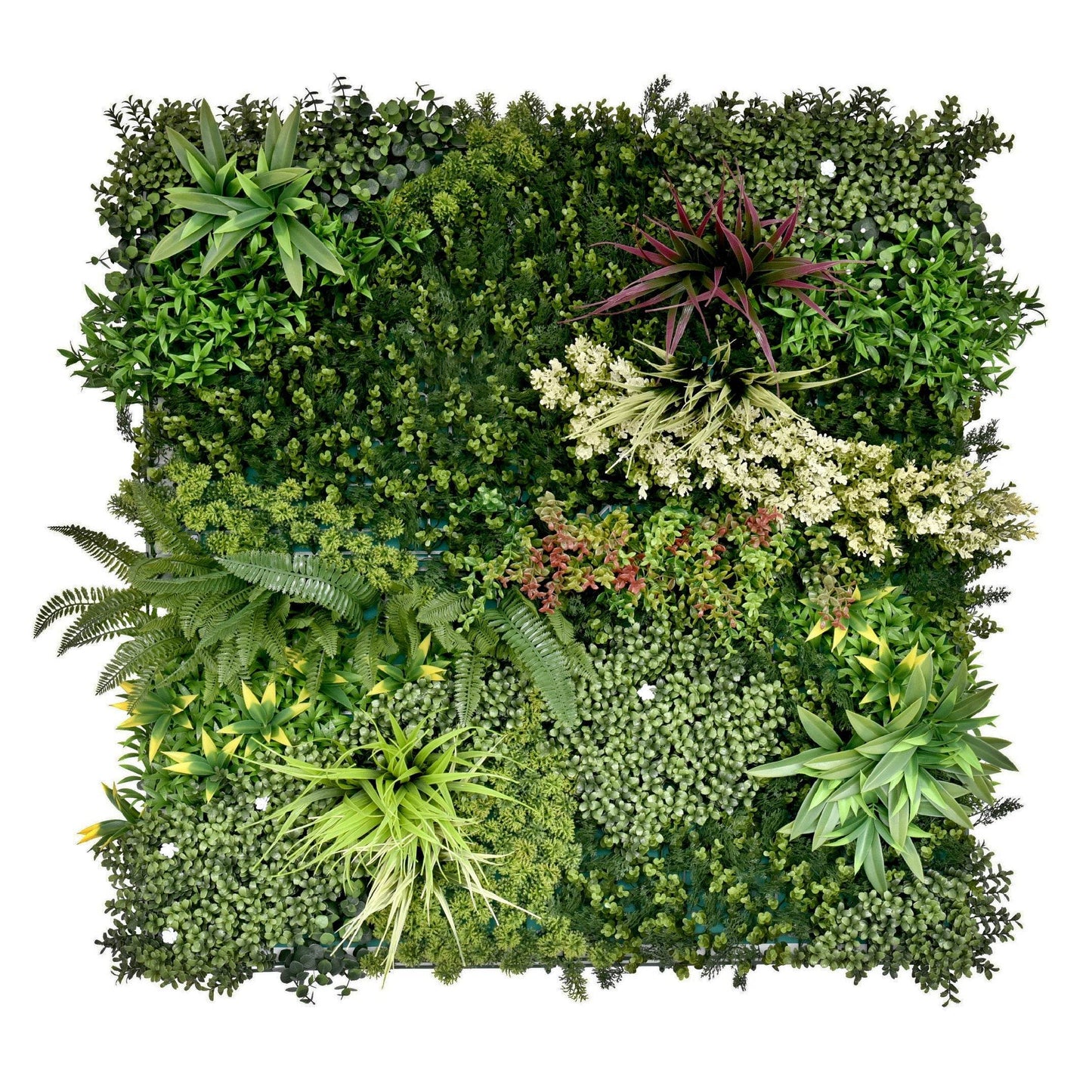 Premium Artificial Plants Green Wall Panel 1m x 1m - Gala A - Evergreenery
