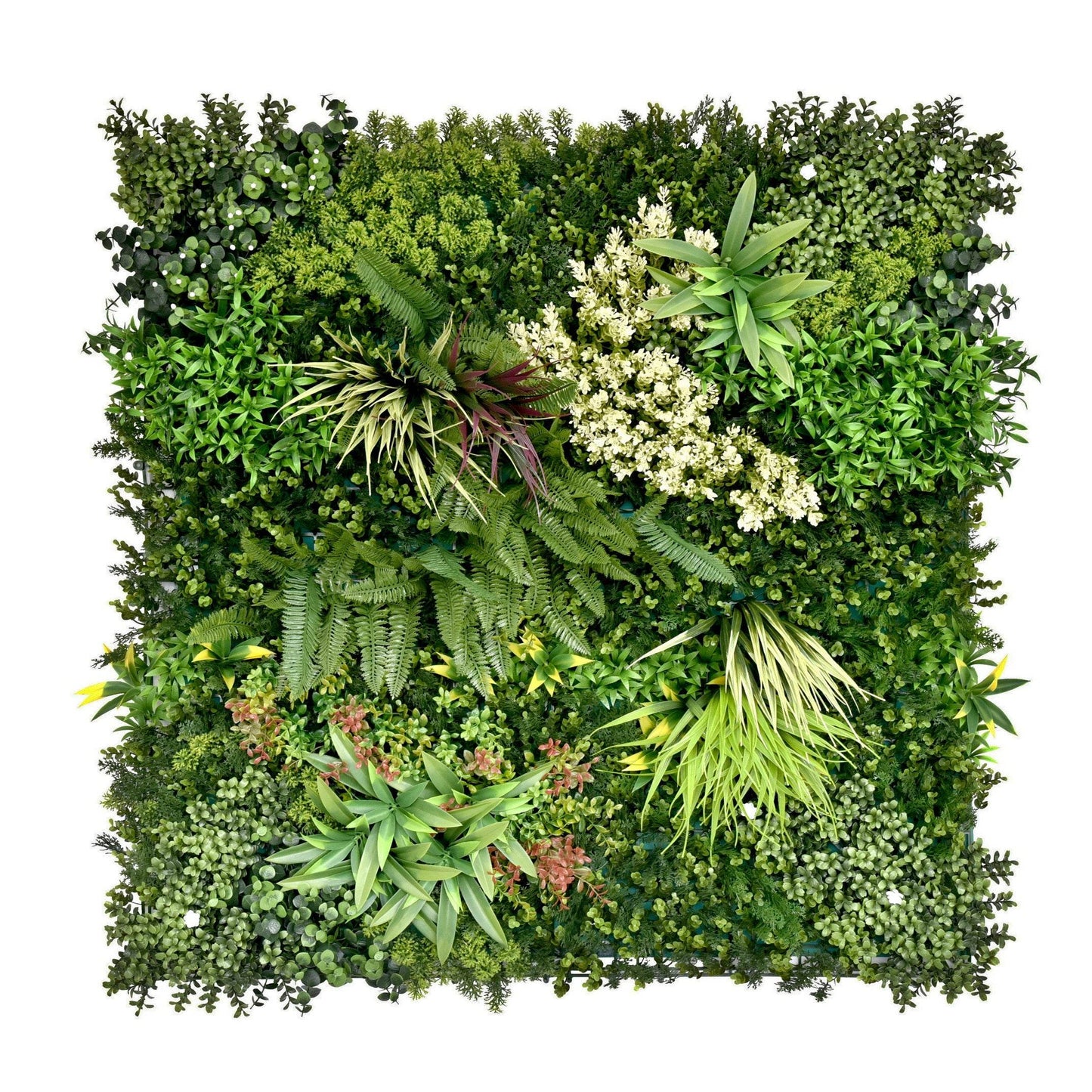 Premium Artificial Plants Green Wall Panel 1m x 1m - Gala C - Evergreenery