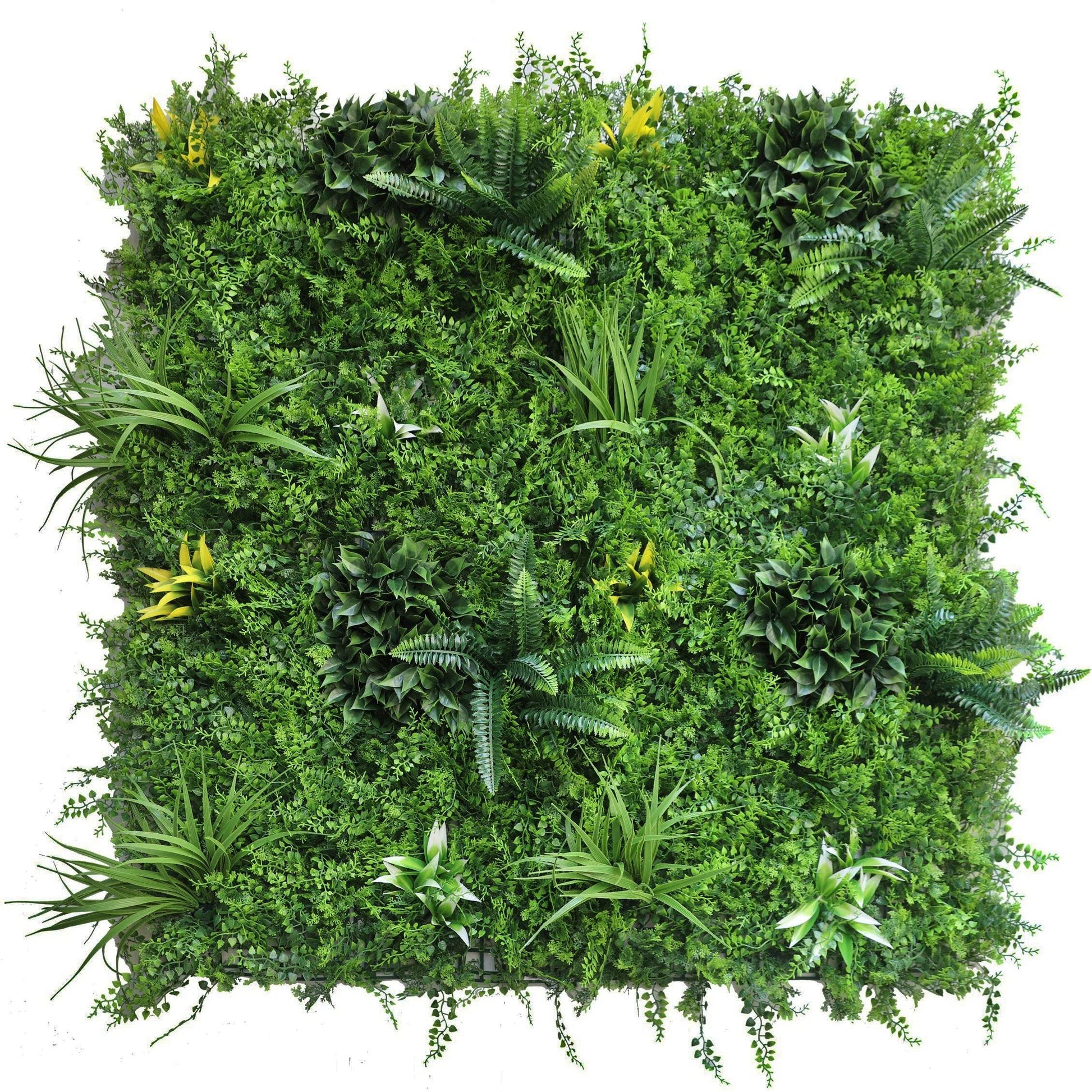 Premium Artificial Green Wall Panel 1m x 1m - Dense Fern - Evergreenery