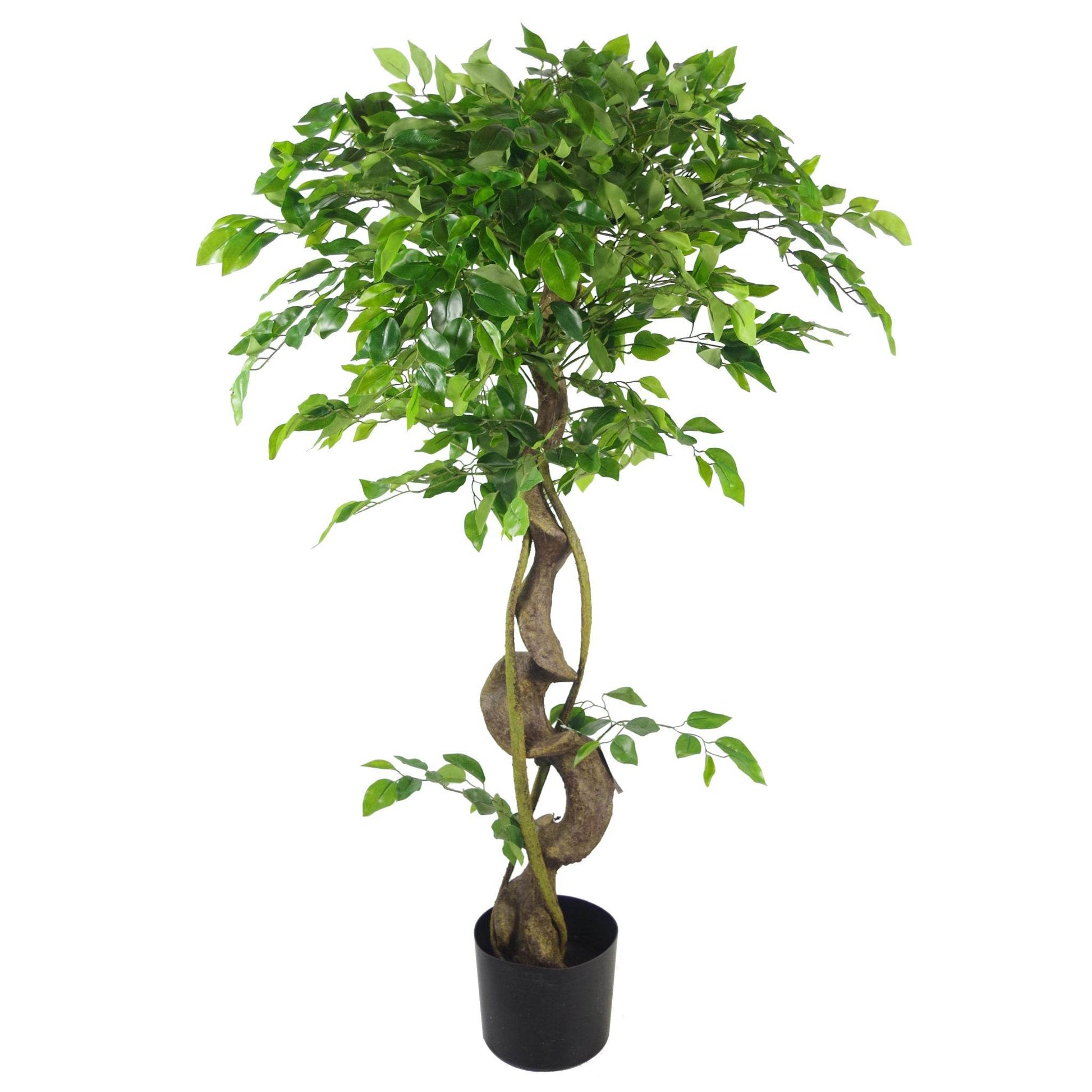 Artificial Japanese Fruticosa Tree Twisted Ficus 120cm - Evergreenery