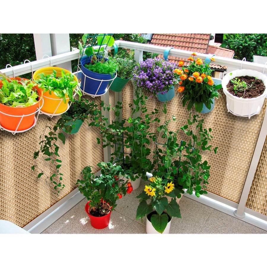 Rattan Weave Privacy Screening 1m x 1m - Evergreenery
