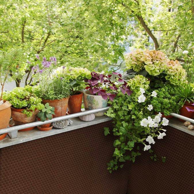 Rattan Weave Privacy Screening 1m x 1m - Evergreenery
