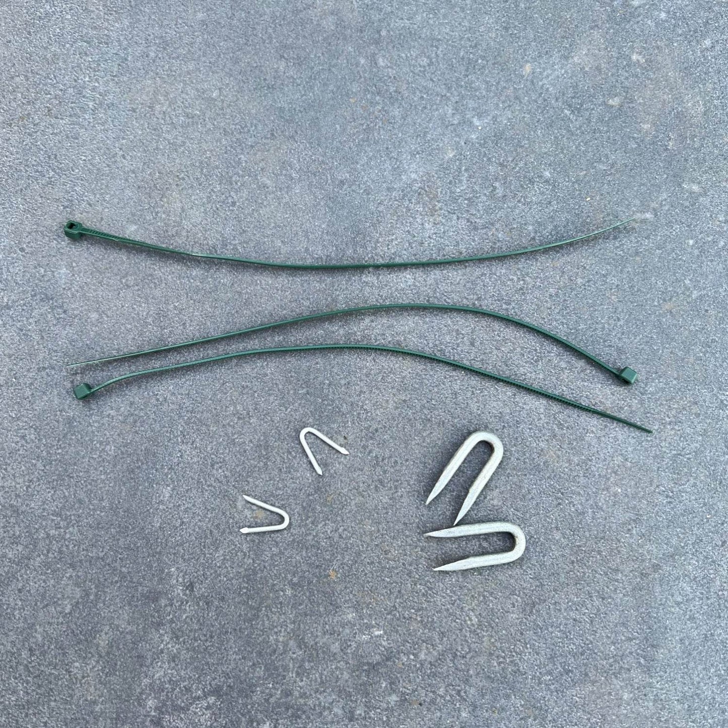 Galvanised Fixing Staples - Evergreenery