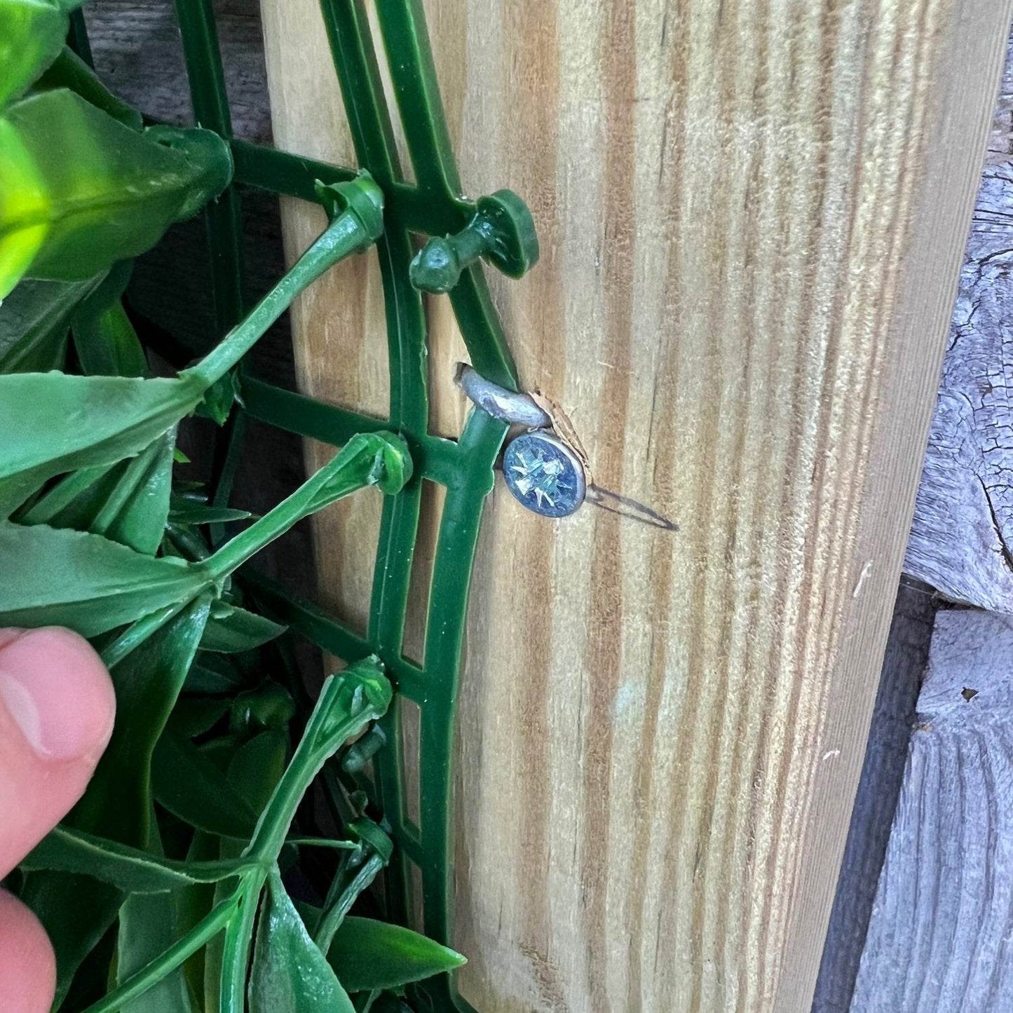 Galvanised Fixing Staples - Evergreenery