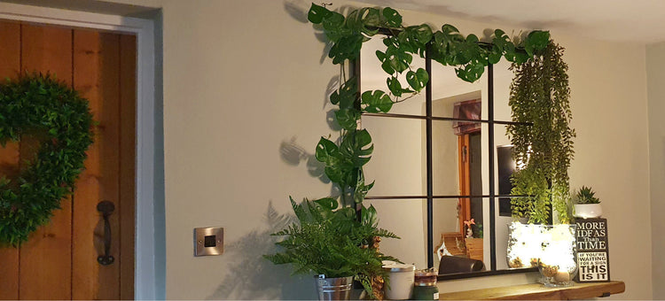 Hanging Plants & Garlands around a mirror