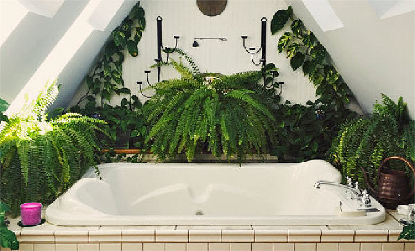 Faux Ferns and hanging plants help to transform this white bathroom into a lush and very inviting space.