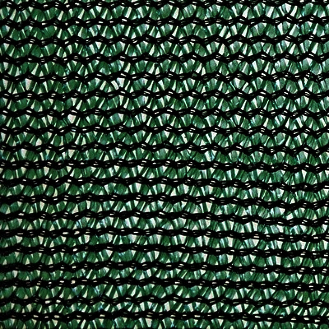 Privacy Backing Netting for Hedge and Green Wall
