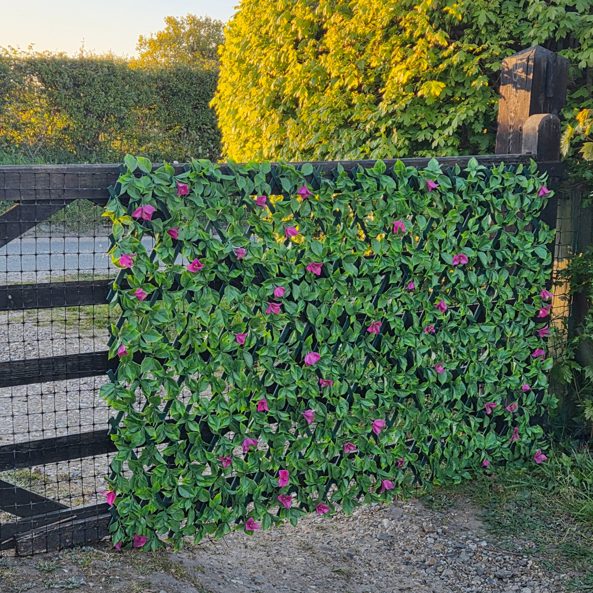Premium Expanding Trellis Artificial Pink Bougainvillea - 1m x 2m