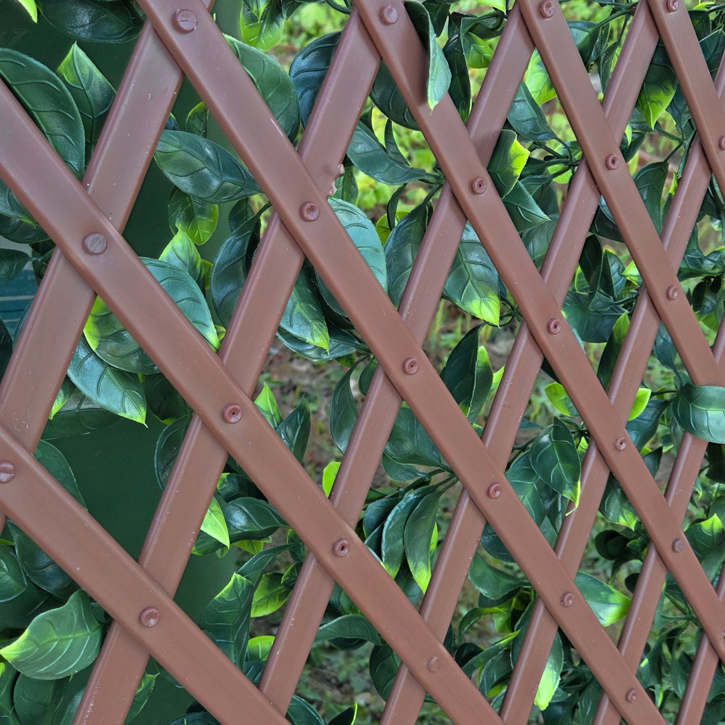 Premium Expanding Trellis Artificial Gardenia Leaf - 1m x 2m