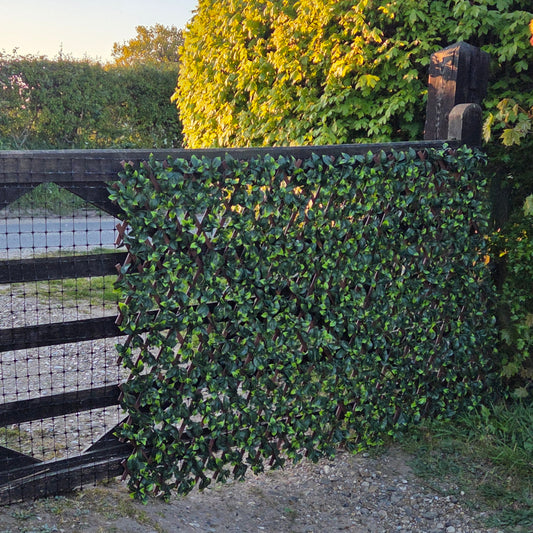 Premium Expanding Trellis Artificial Gardenia Leaf - 1m x 2m