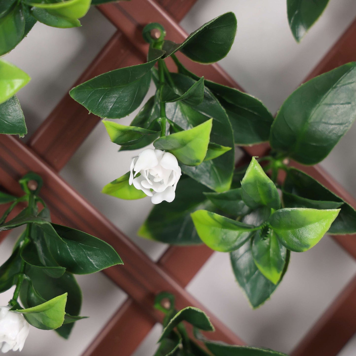 Premium Expanding Trellis Artificial Laurel & White Flower - 1m x 2m