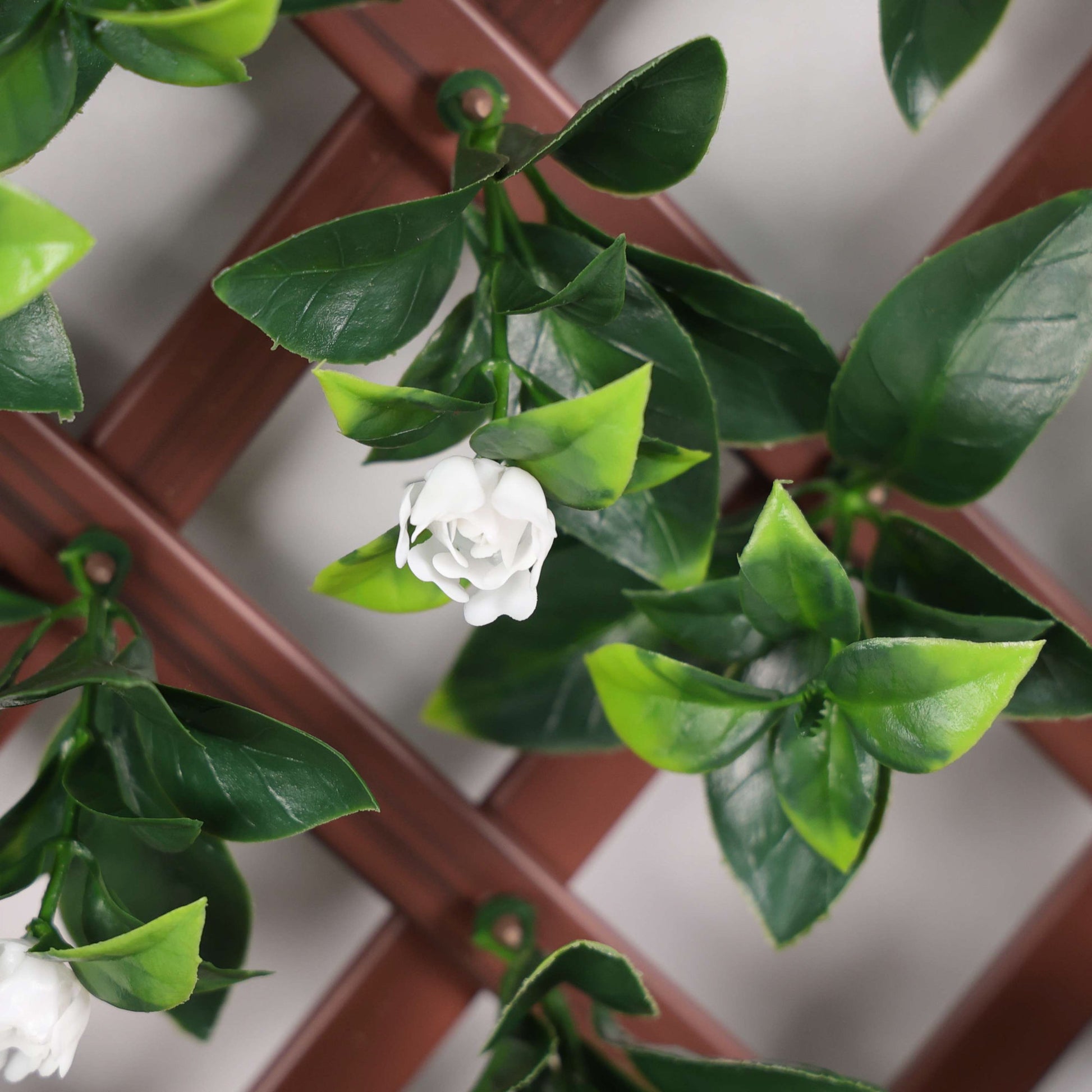 Premium Expanding Trellis Artificial Laurel & White Flower - 1m x 2m