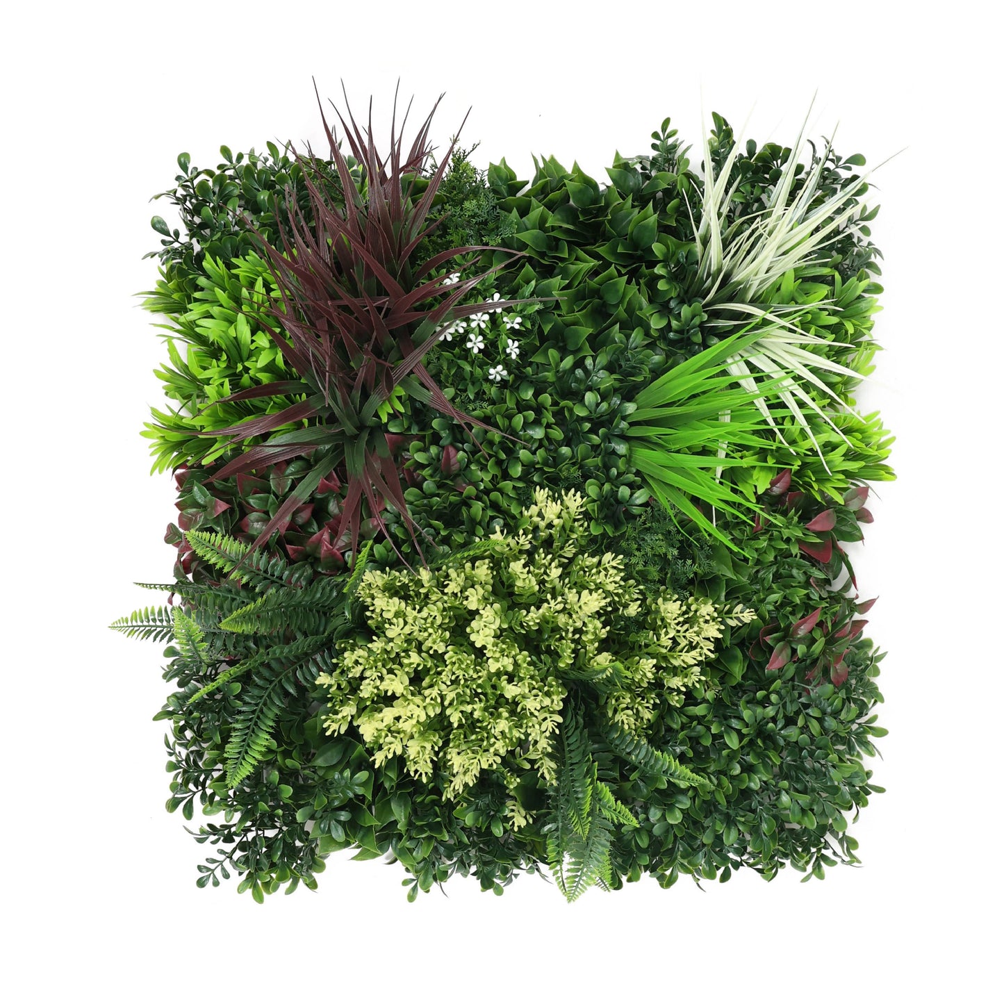 Premium Artificial Green Wall Panel 50 x 50cm - Carnival B