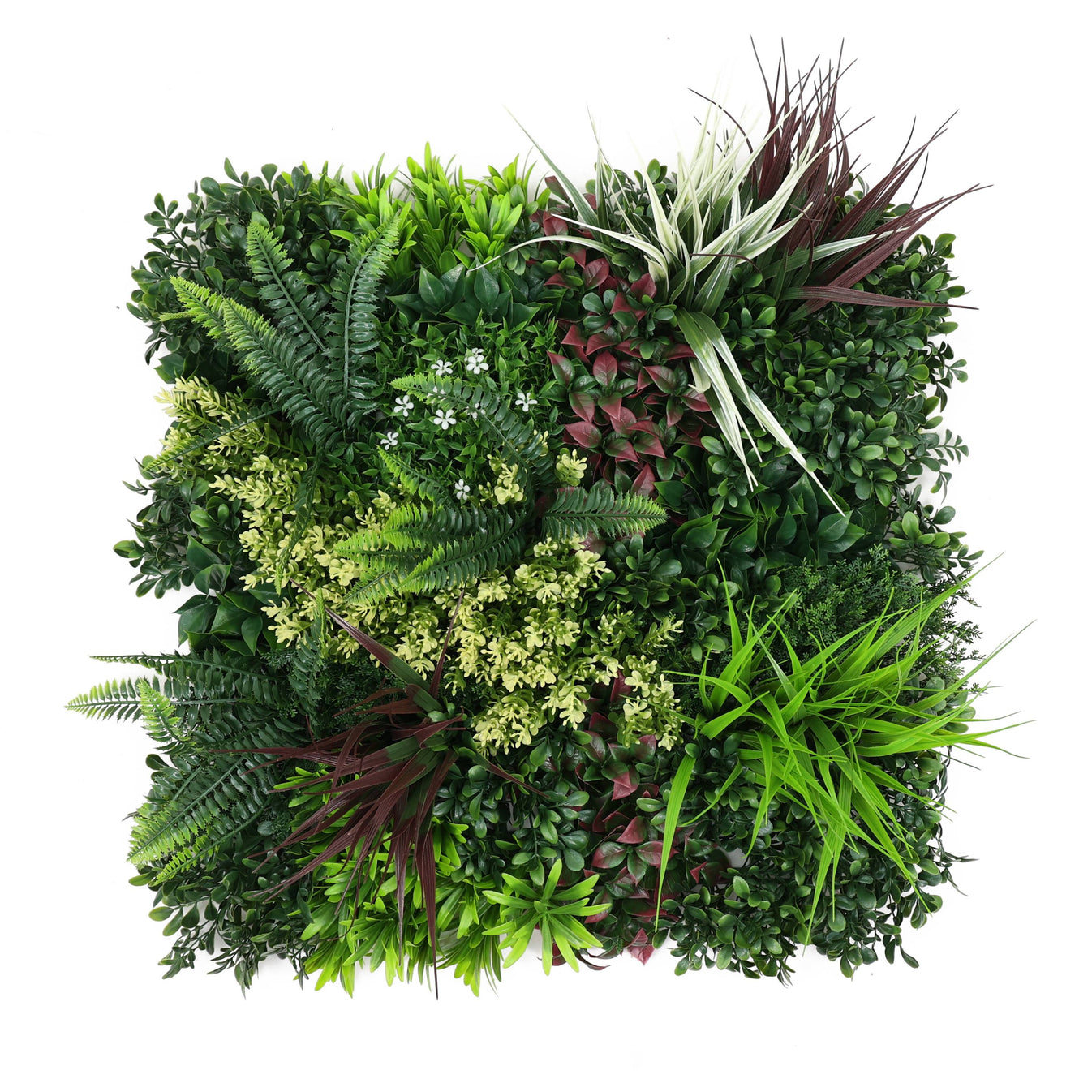 Premium Artificial Green Wall Panel 50 x 50cm - Carnival C – Evergreenery