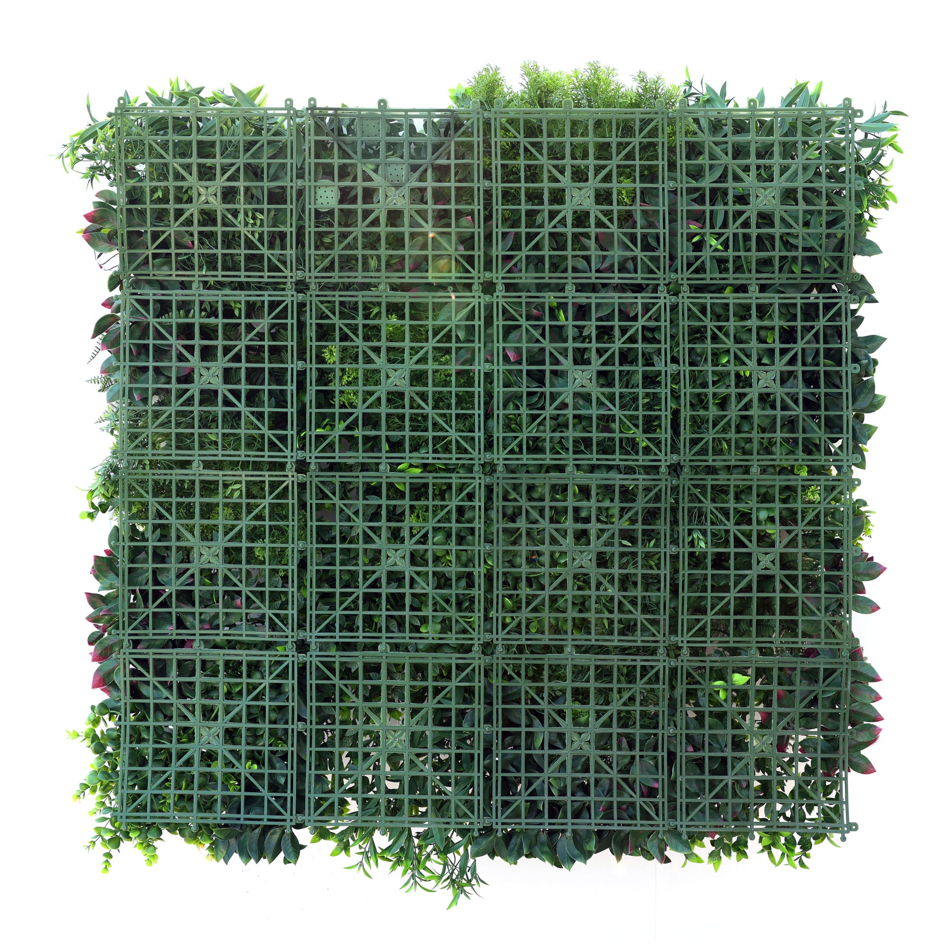 Premium Artificial Green Wall Panel 1m x 1m - Tuscany