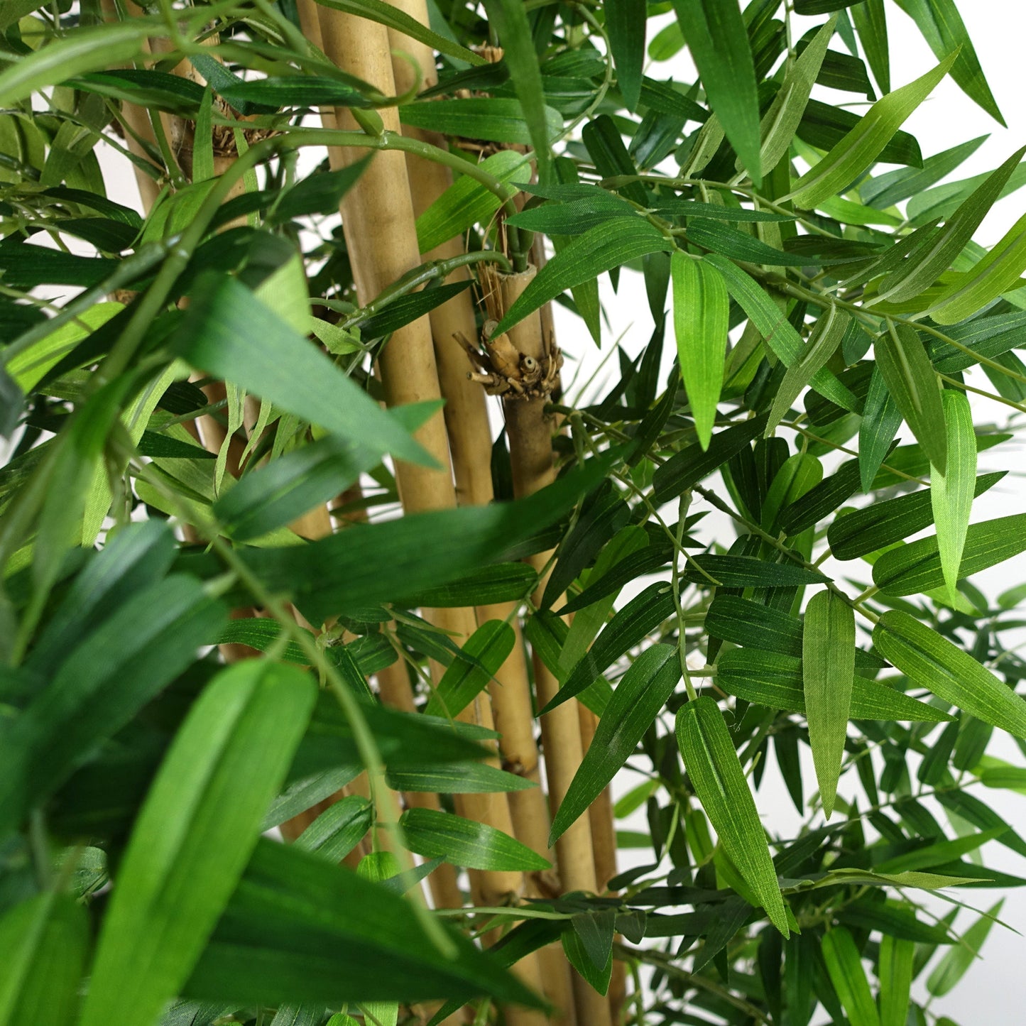 Artificial Oriental Bamboo Tree Plant