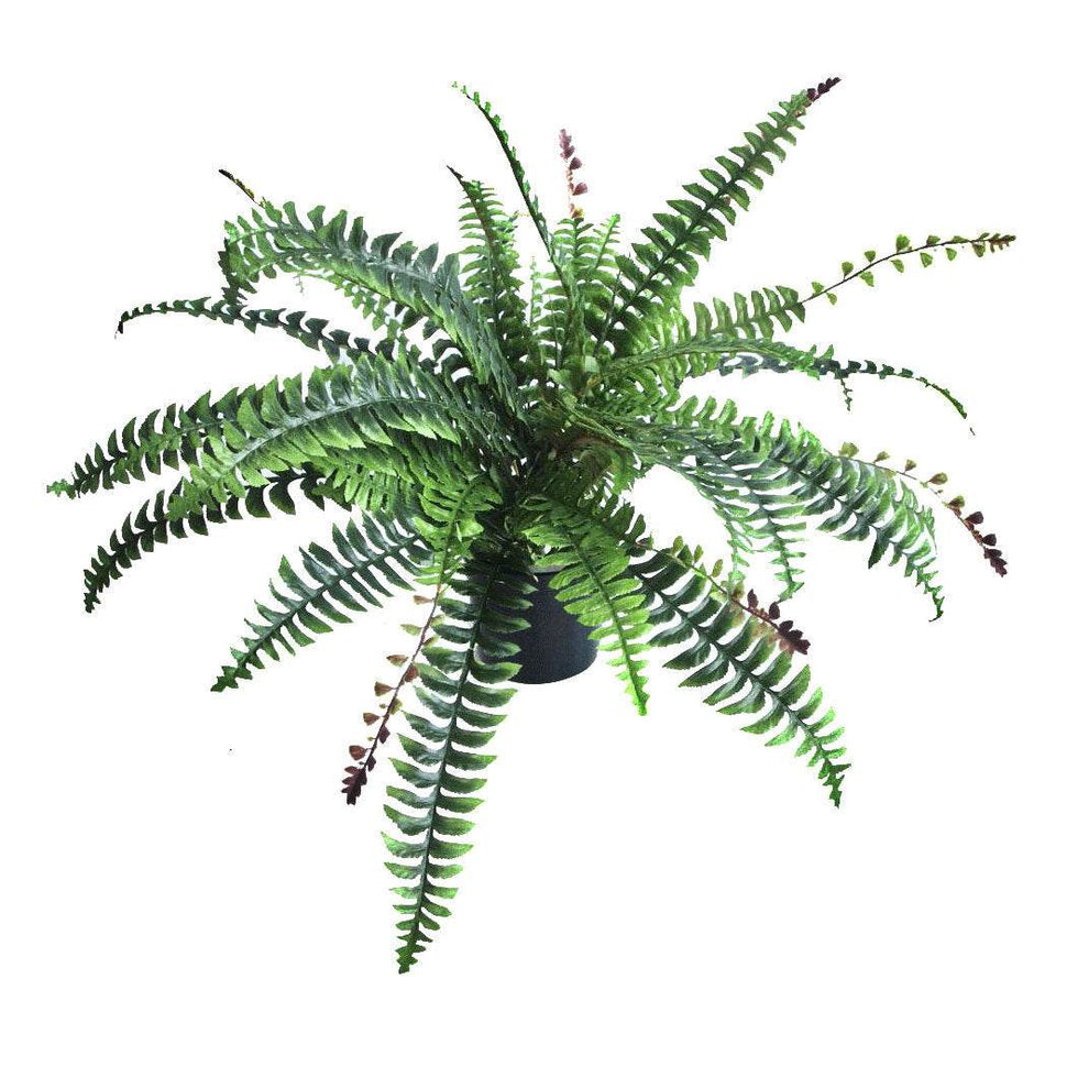 Artificial Boston Fern Plant 60cm Evergreenery