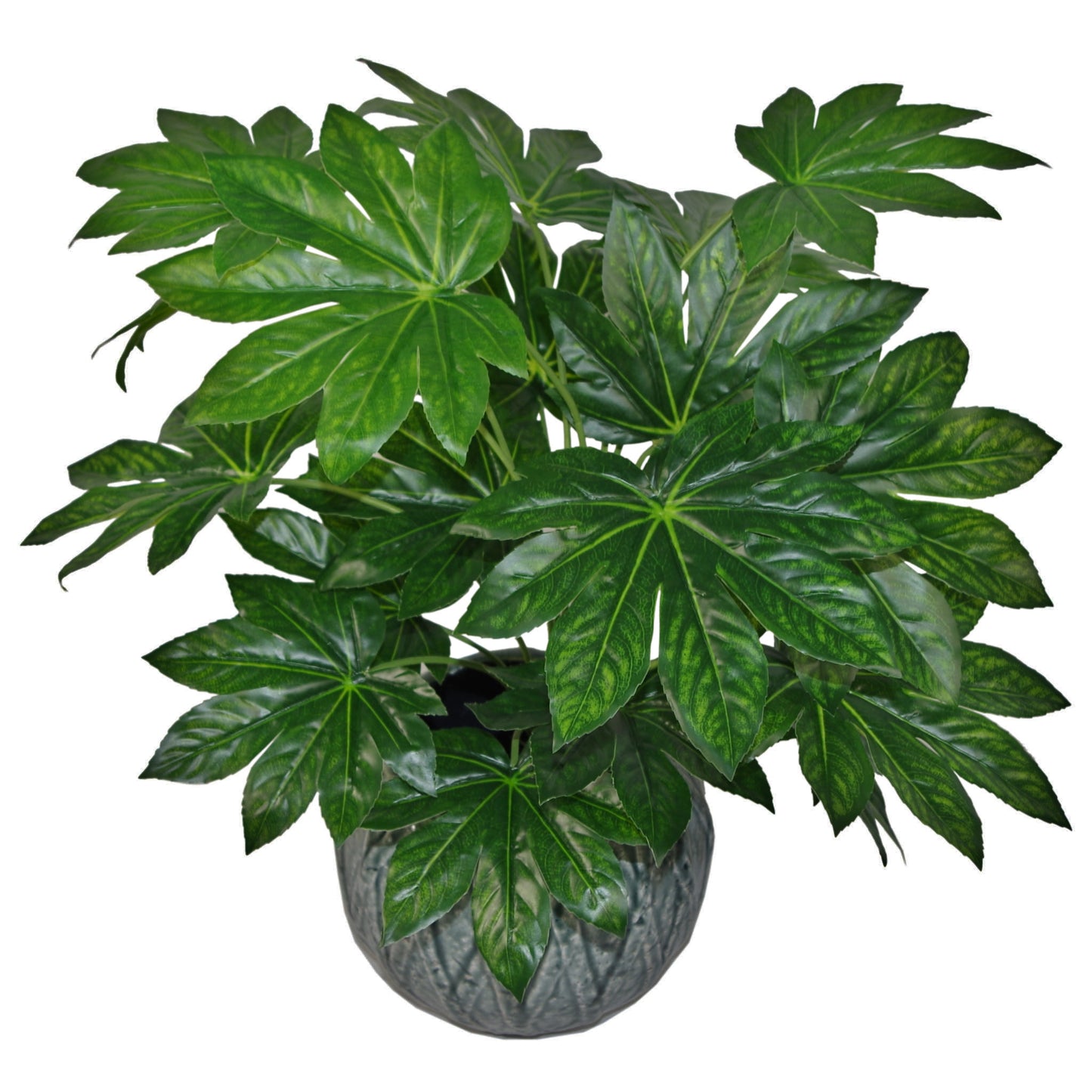 Artificial Japanese Aralia Plant 60cm