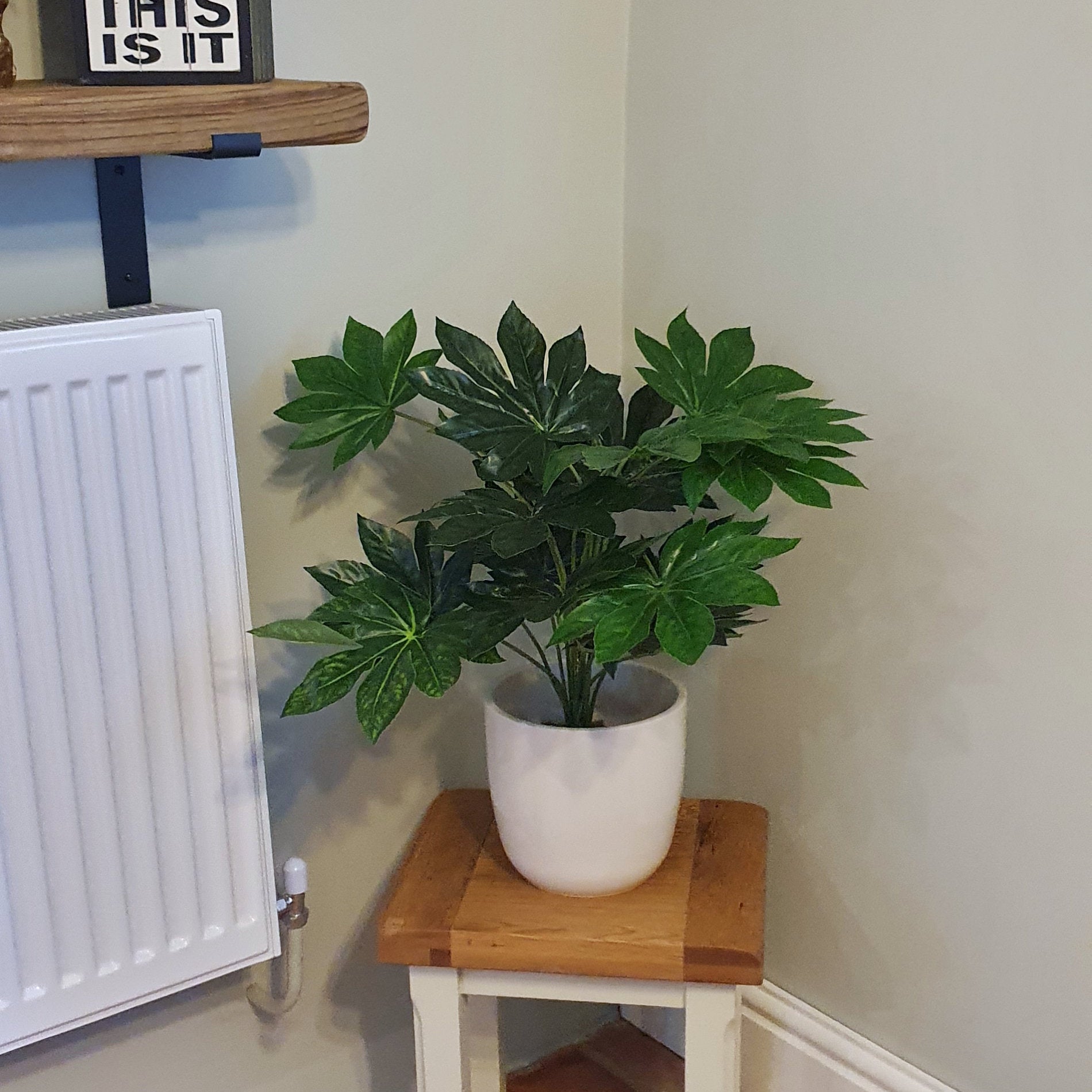 Artificial Japanese Aralia Plant 60cm