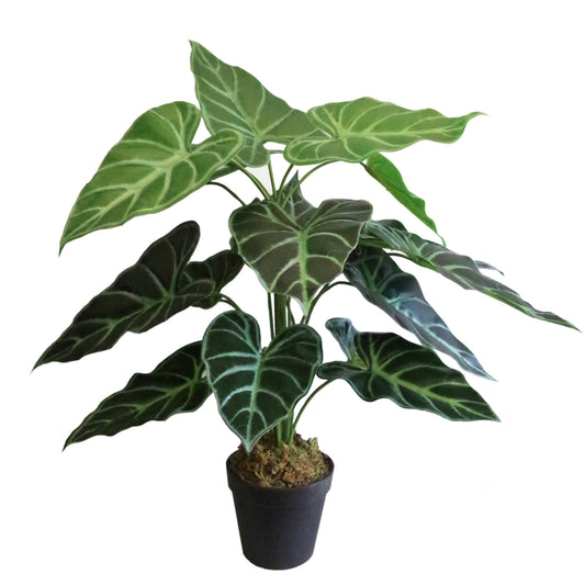 Artificial Alocasia Amazonica Polly Taro Plant 60cm