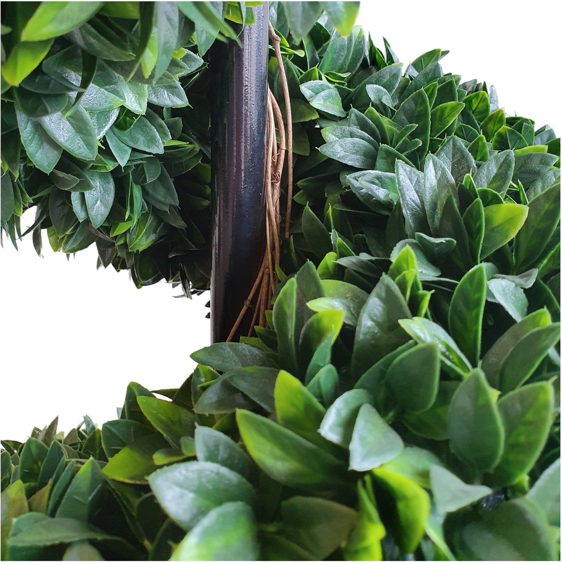 Large Leaf Boxwood Spiral Topiary Tree with Decorative Planter 120cm