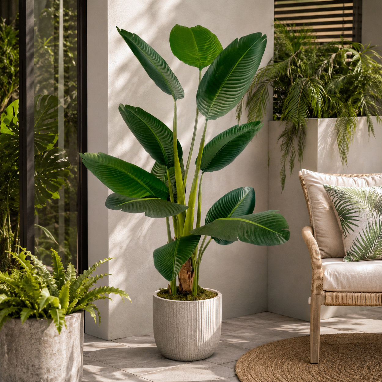 Artificial Traveller Banana Palm Tree 150cm UV Protected - Evergreenery