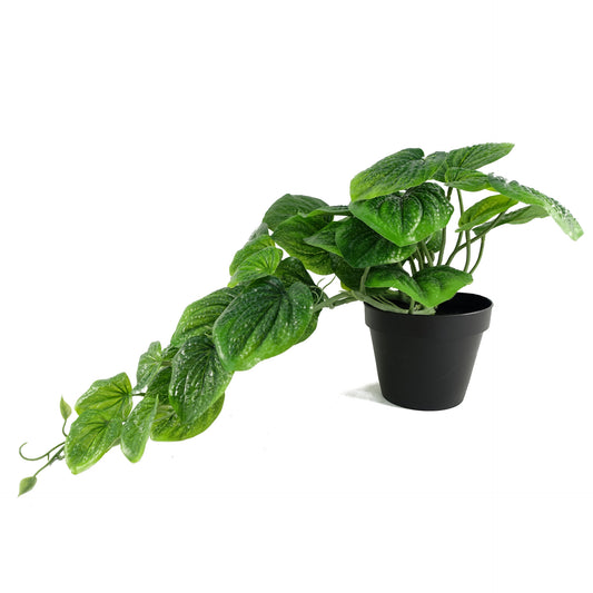 Artificial Trailing Green Pothos Plant 35cm