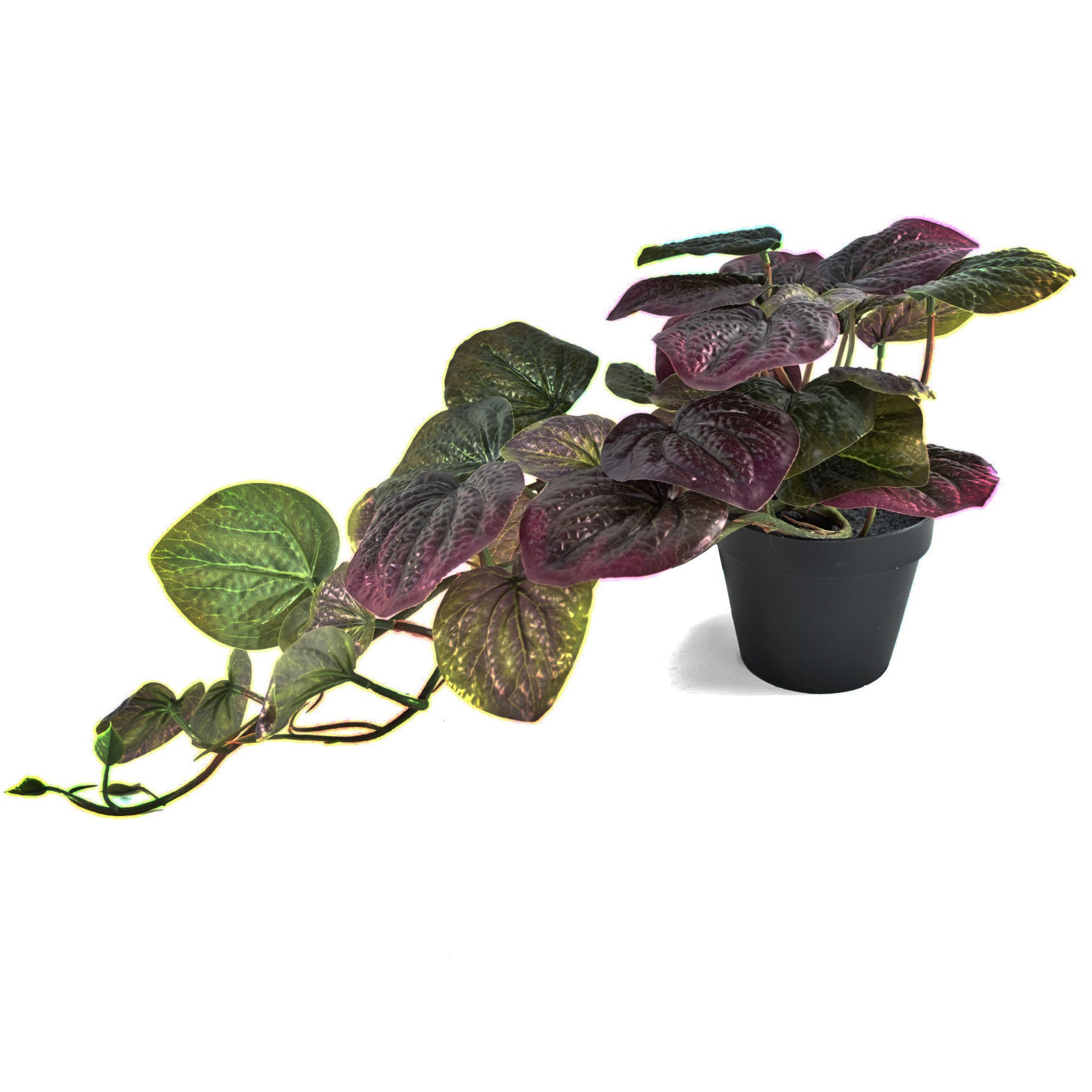 Artificial Trailing Purple Pothos Plant 35cm