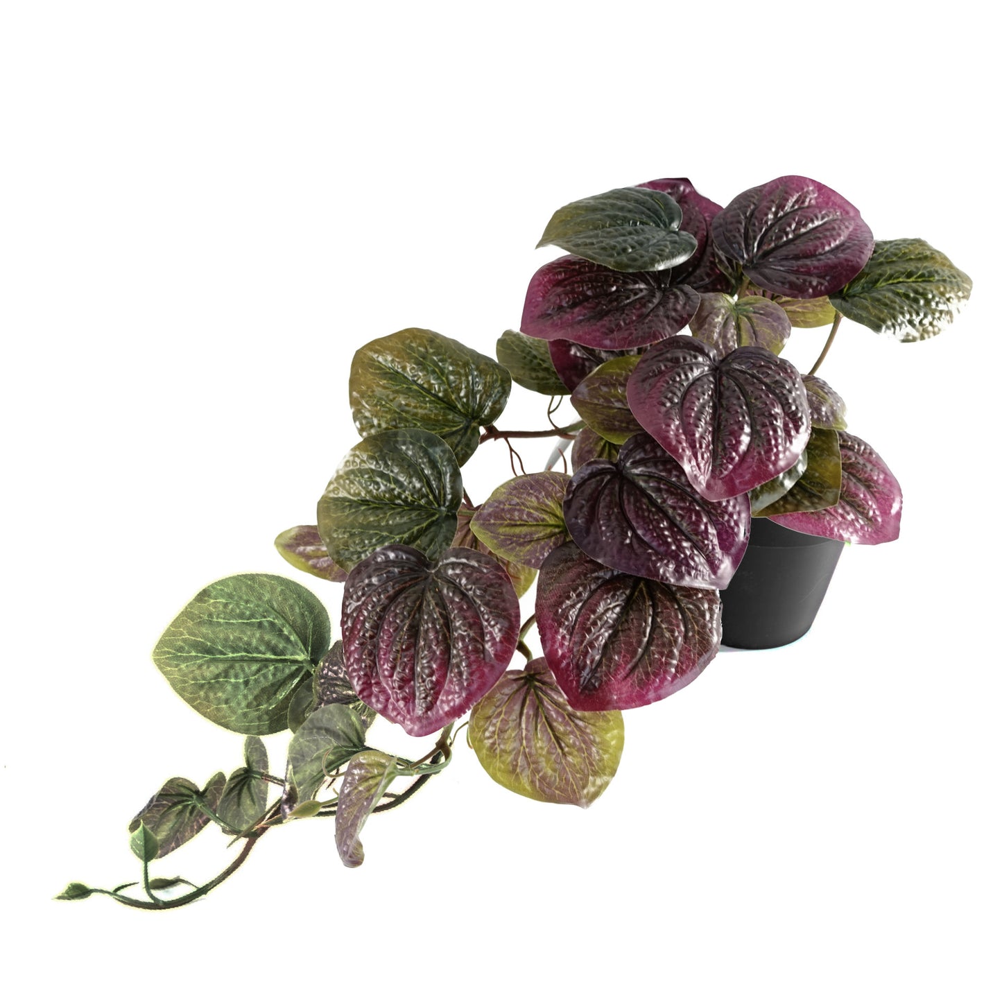 Artificial Trailing Purple Pothos Plant 35cm