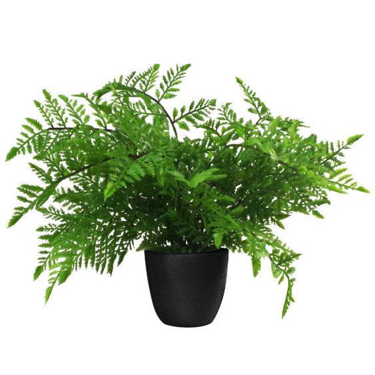 Artificial Southern Wood Fern Potted Plant 30cm - Evergreenery