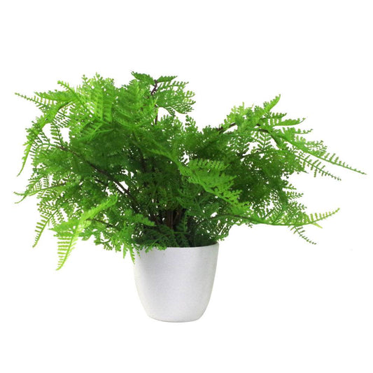 Artificial Lady Fern Potted Plant 30cm - Evergreenery