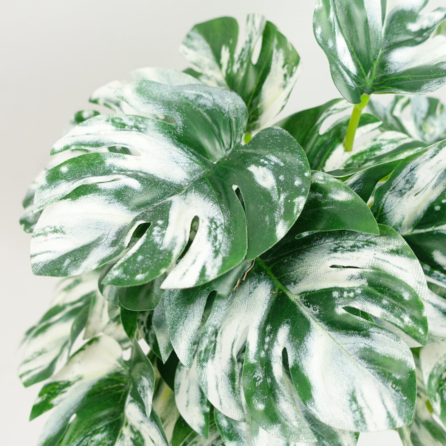Artificial Potted Variegated Monstera Trailing Plant 30cm
