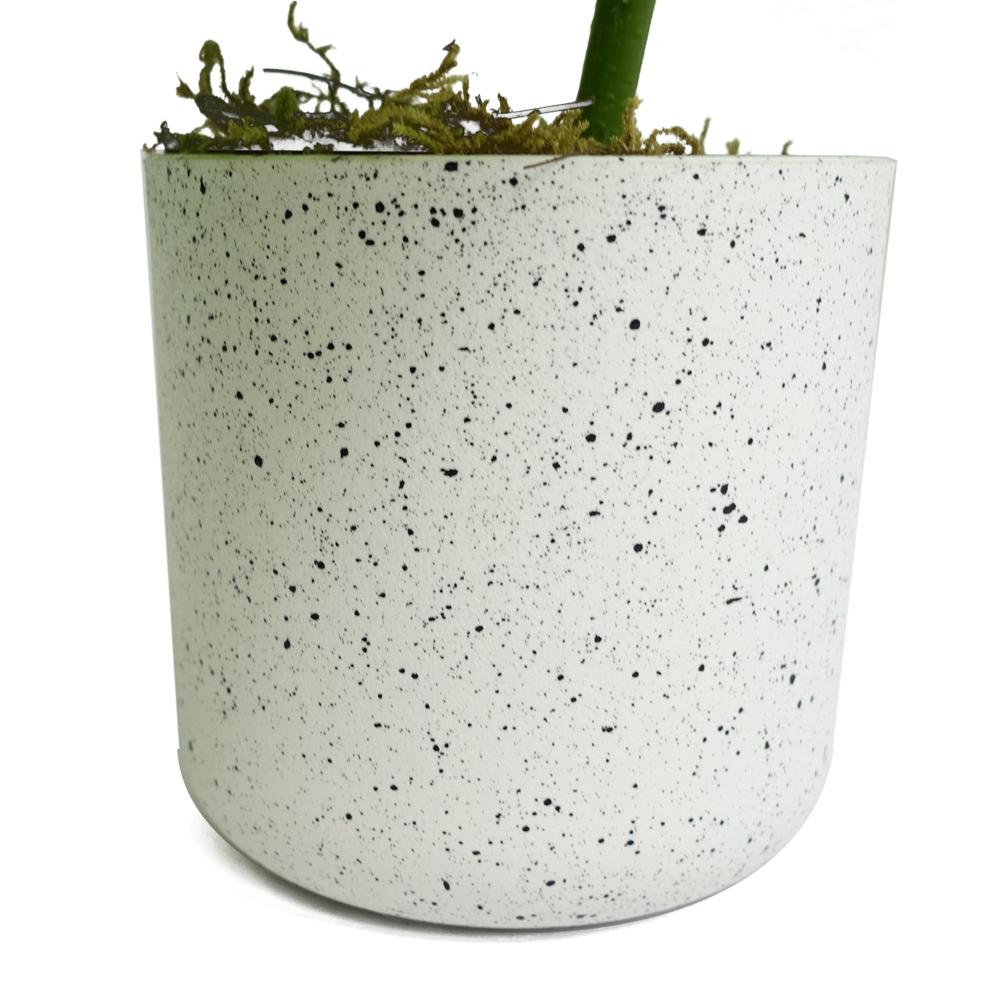 Artificial Potted Variegated Monstera Trailing Plant 30cm