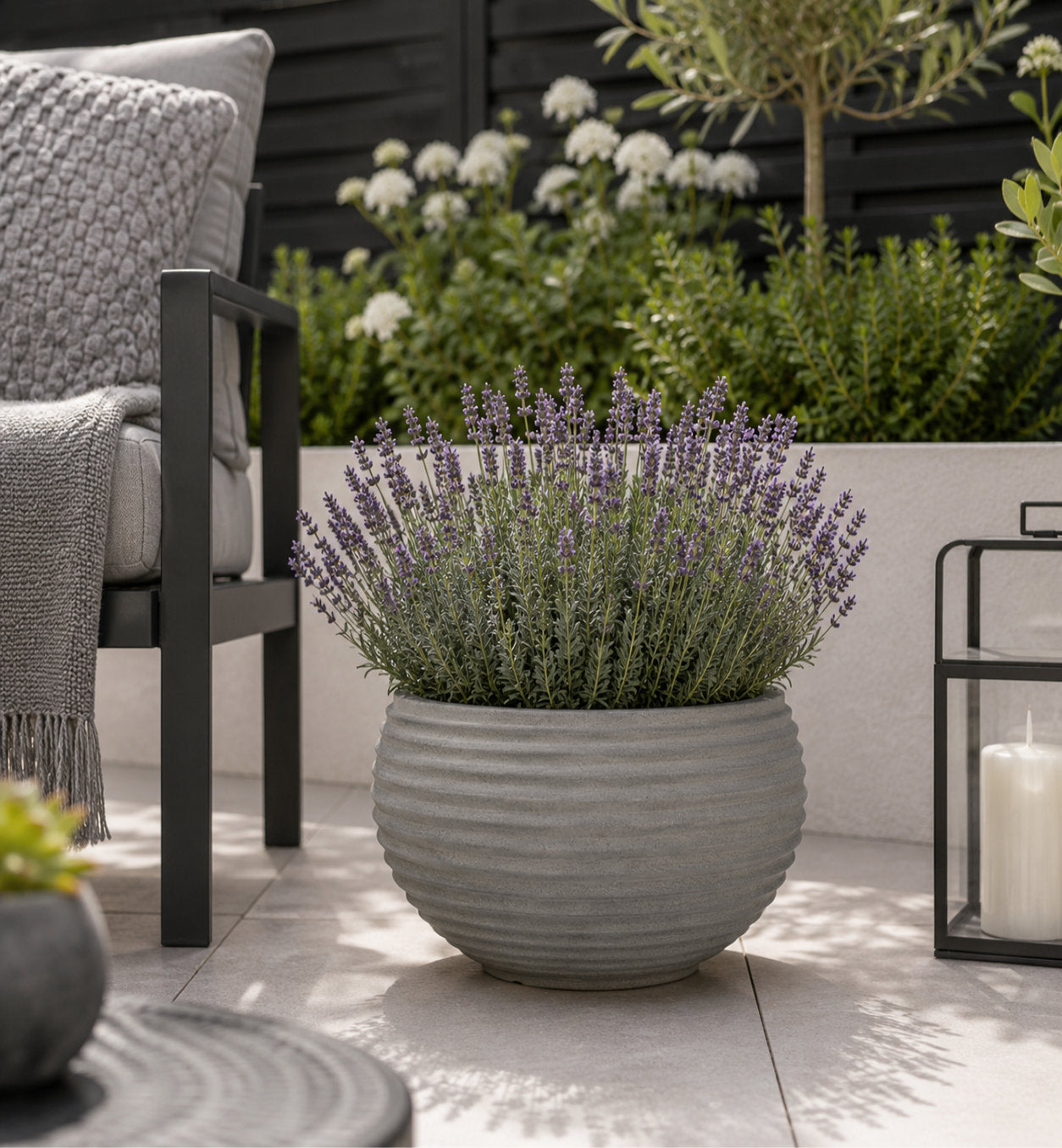 A gray ribbed ceramic planter filled with lavender