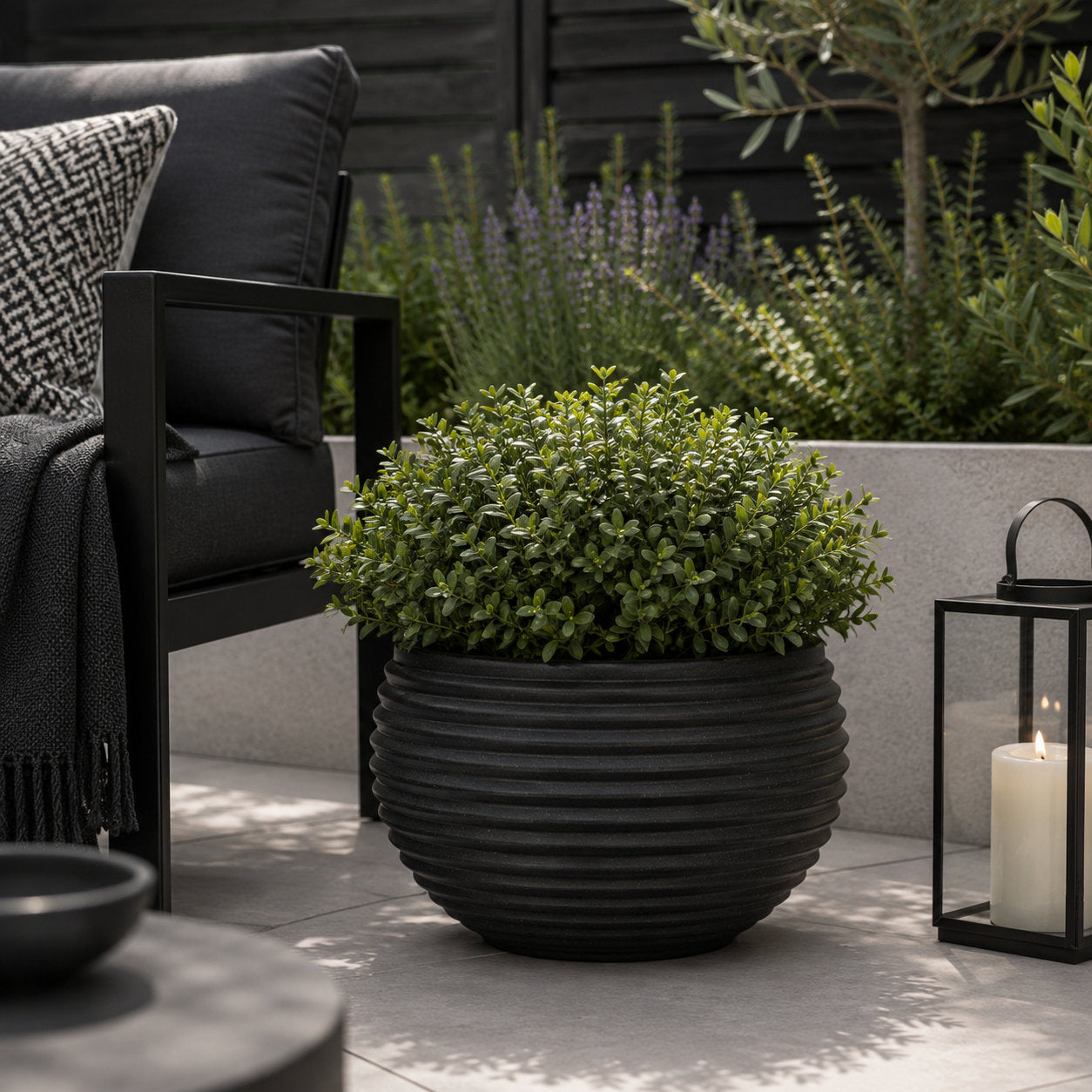 A green leafy plant in a large black ribbed planter pot, styled on a modern outdoor patio.