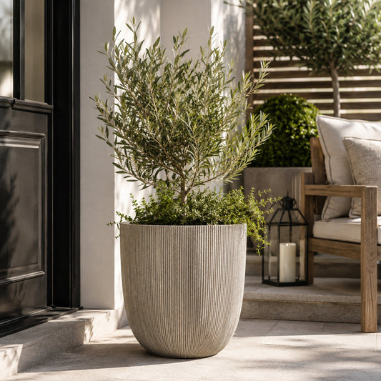 Milan Ruffled Plant Pot 31 x 31cm 17L - Sandstone