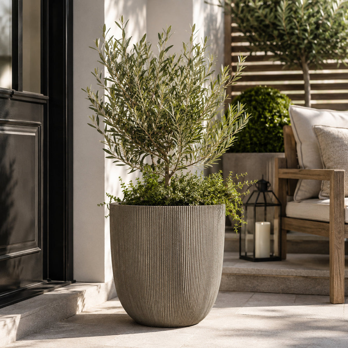 A large ribbed concrete planter holding a leafy green shrub, placed on stone steps beside a wooden outdoor chair and lantern.