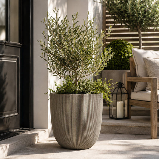A large ribbed concrete planter holding a leafy green shrub, placed on stone steps beside a wooden outdoor chair and lantern.