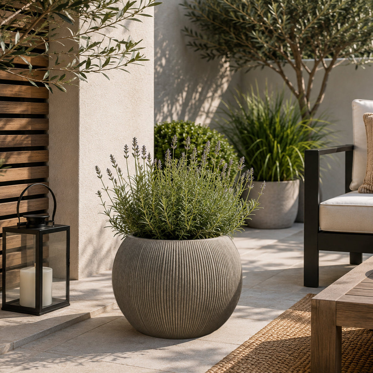 A round ribbed concrete planter filled with green lavender plants, placed on a light stone patio in an outdoor garden setting with a chair, lantern, and other potted plants.