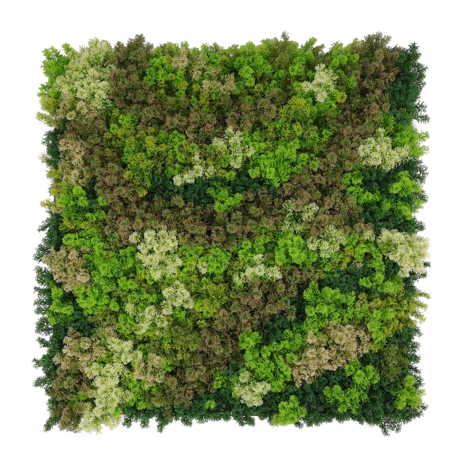 Artificial Moss Living Wall Panel 1m x 1m – Dark Green Hedge Mat