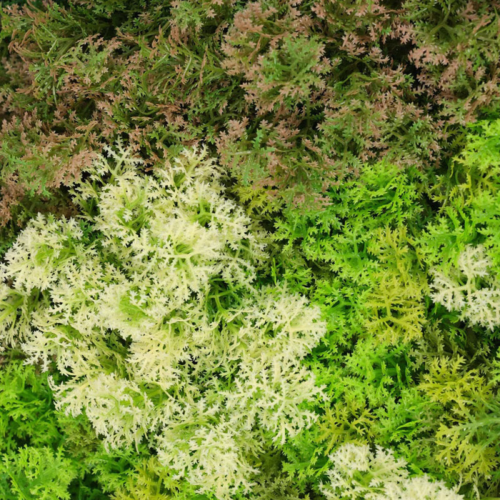 Artificial Moss Living Wall Panel 1m x 1m – Dark Green Hedge Mat Close Up