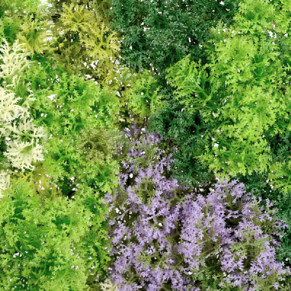 Light Green Moss Wall Panel 1m x 1m – Artificial Living Wall Close